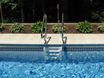 pool ladder